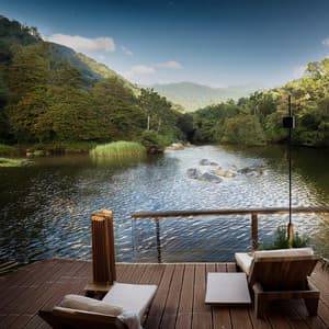 Soothing Retreat: Music for Home Relaxation - Forest Soundscape