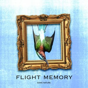 Flight Memory - Sonic Nature