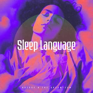Sleep Language - Hotday & The Dreamteam