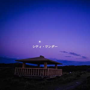 シティ・ワンダー - Beach Jazz Playlist