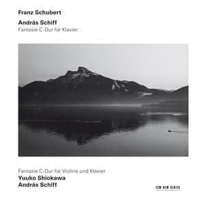 Schubert: Fantasien D. 760, D. 934 - Franz Schubert