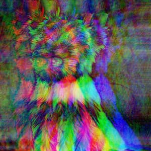 Background Music for Calm Doggo - Doggy Relaxing Sounds