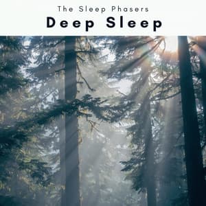 1 Deep Sleep - The Sleep Phasers