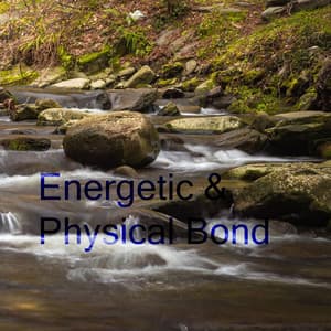 Energetic & Physical Bond - Chakras Meditation