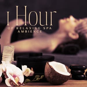 1 Hour of Relaxing Spa Ambience - Relaxing Spa Oasis
