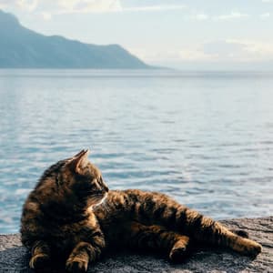 Feline Tranquility: Ocean Serenades Bliss - Ocean Sounds White Noise For Sleep