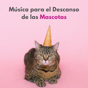 Música Para El Descanso De Las Mascotas - Pasión por el piano