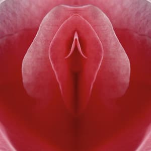 Organic Lofi: Piano Lofi, Spa Lofi - Lofi Radiance