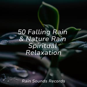 50 Falling Rain & Nature Rain Spiritual Relaxation - PowerThoughts Meditation Club