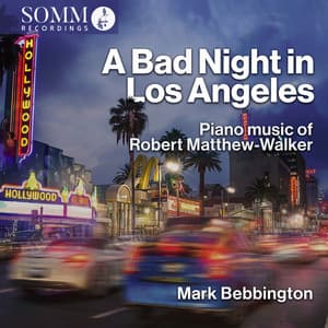 A Bad Night in Los Angeles - Robert Matthew Walker