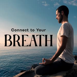 Connect to Your Breath: Breathwork Meditation Music to Improve Your Mood, Relieve Stress, Harmonic State of Mind and Body - Calming Music Ensemble