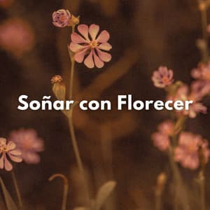 Soñar Con Florecer - La biblioteca al aire libre