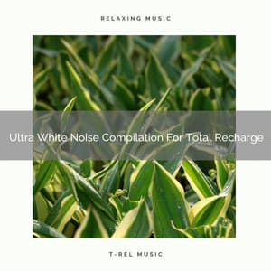Ultra White Noise Compilation For Total Recharge - Baby Rain Sleep Sounds
