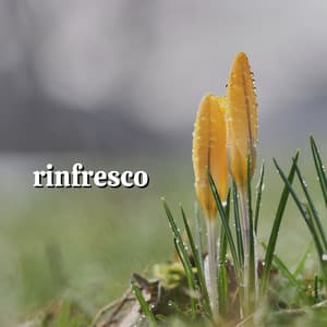 Rinfresco - Suoni Naturali