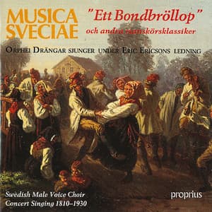 Ett Bondbröllop - Orphei Drängar