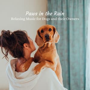 Paws in the Rain: Relaxing Music for Dogs and their Owners - Rain Sound Experience