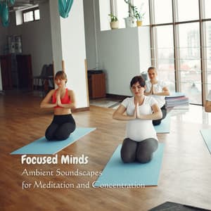 Focused Minds: Ambient Soundscapes for Meditation and Concentration - Relax Bro