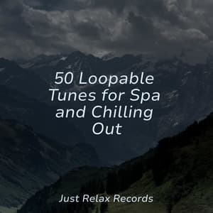 50 Loopable Tunes for Spa and Chilling Out - Meditation