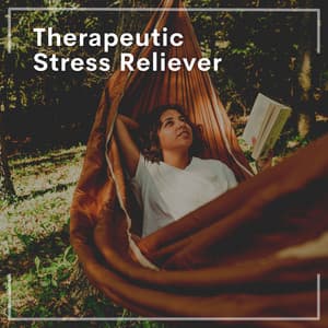 Therapeutic Stress Reliever - Oasis of Relaxation Meditation