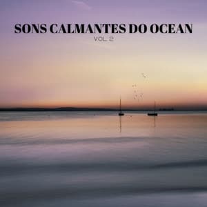 Sons Calmantes Do Ocean Vol. 2 - Dormir e Meditar