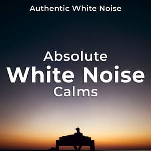 Absolute White Noise Calms - Authentic White Noise