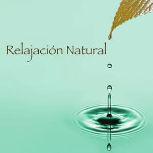 Relajación Natural: Musica para Ejercicios Yoga y Meditar - Relajación Natural Maestro