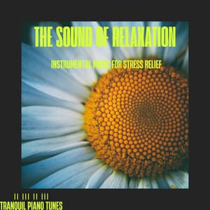 The Sound of Relaxation: Instrumental Music for Stress Relief - Tranquil Piano Tunes