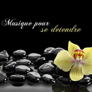 Musique pour se detendre dans votre salle de bain - Musique Zen Garden
