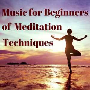 Music for Beginners of Meditation Techniques - David Favorite