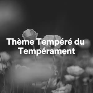Thème Tempéré du Tempérament - Bouddha musique sanctuaire