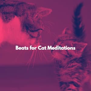 Beats for Cat Meditations - Lounge Bar New York