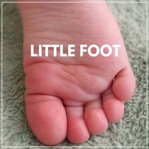 Little Foot - Relaxing Baby Sleeping Songs
