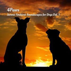 4Paws: Serene Ambient Soundscapes for Dogs Vol. 1 - Calm Dog Music