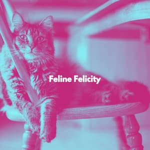 Feline Felicity - Cat Music Waves