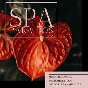 Spa Para Dos: Música Romántica Instrumental con Sonidos de la Naturaleza - Musica de Relajación Academy