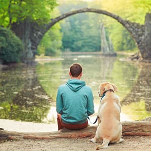 Relaxation Harmonics: Soft and Peaceful Tunes - Relax & Chill