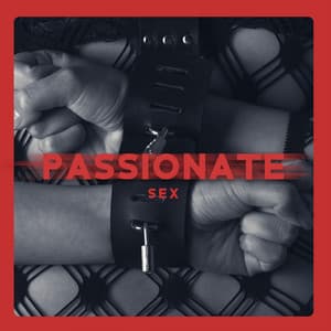 Passionate Act - Theo Lärm