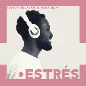 Música Relajante para el Estrés: Momento de Calma para Despejar la Mente y Meditar en Paz - Reiki Consorte de Curación