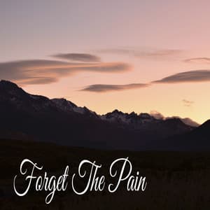 Forget The Pain - Musica Relajante Specialistas
