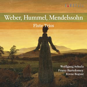 ウェーバー、フンメル、メンデルスゾーン：フルート三重奏曲集 - Wolfgang Schulz