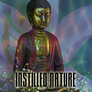 Instilled Nature - Meditación Interna