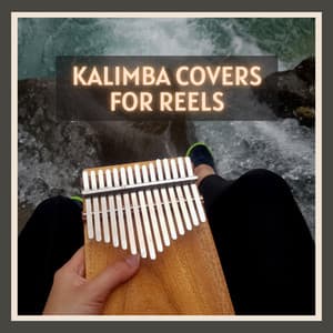 Kalimba Covers for Reels - Kalimba Lullaby