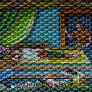 75 Show Me To Sleep - Sleeping Music