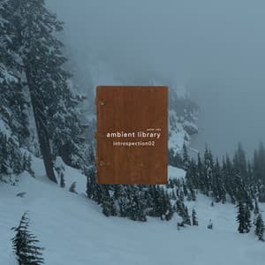 Ambient Library - Introspection02 - Peter Ries