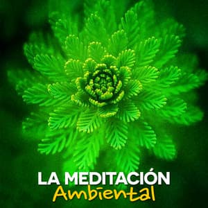 La Meditación Ambiental - Meditación Musical