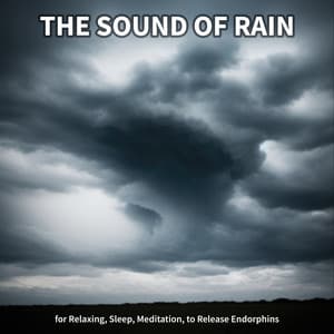 #1 The Sound of Rain for Relaxing, Sleep, Meditation, to Release Endorphins - Meditation Rain Sounds