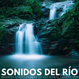 Sonidos Del Río: Melodías Suaves De Agua En Movimiento Para Dormir - Ciencia del Agua