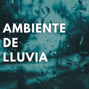 Ambiente De Lluvia: Lluvias Intermitentes En Repetición - Bosque Negro