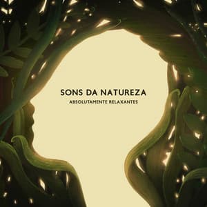Sons da natureza absolutamente relaxantes - Hipnose Natureza Sons Coleção