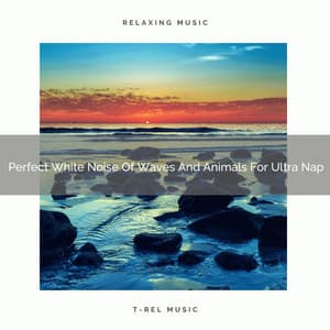 Perfect White Noise Of Waves And Animals For Ultra Nap - Noise Makers